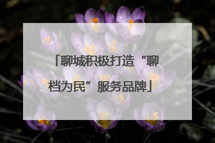 聊城积极打造“聊档为民”服务品牌