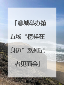 聊城举办第五场“榜样在身边”系列记者见面会