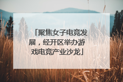 聚焦女子电竞发展，经开区举办游戏电竞产业沙龙