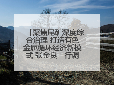 聚焦尾矿深度综合治理 打造有色金属循环经济新模式 张金良一行调研栾川县尾矿库综合治理工作