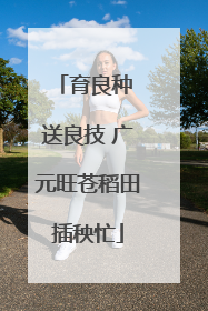 育良种 送良技 广元旺苍稻田插秧忙