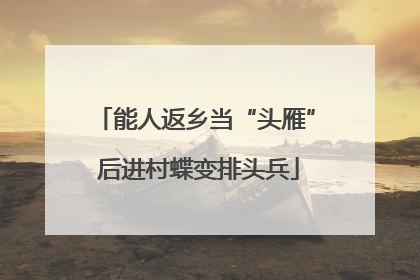能人返乡当“头雁” 后进村蝶变排头兵