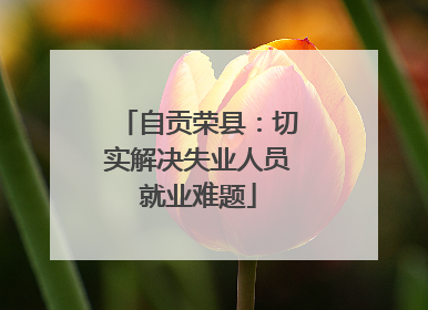 自贡荣县：切实解决失业人员就业难题
