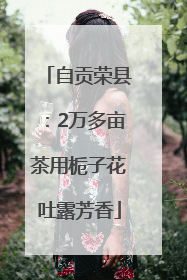 自贡荣县：2万多亩茶用栀子花吐露芳香