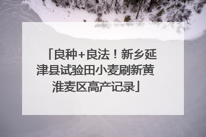 良种+良法！新乡延津县试验田小麦刷新黄淮麦区高产记录