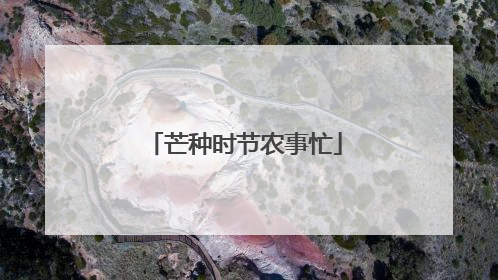 芒种时节农事忙