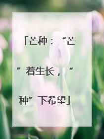 芒种：“芒”着生长，“种”下希望