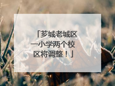 芗城老城区一小学两个校区将调整！