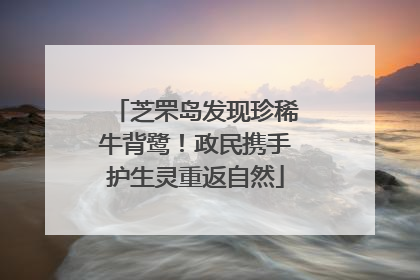 芝罘岛发现珍稀牛背鹭！政民携手护生灵重返自然