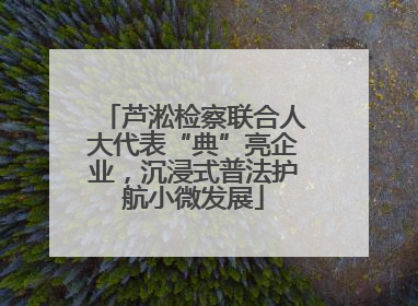 芦淞检察联合人大代表“典”亮企业，沉浸式普法护航小微发展