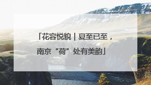 花容悦貌｜夏至已至，南京“荷”处有美韵