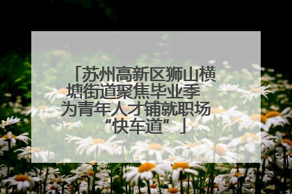 苏州高新区狮山横塘街道聚焦毕业季 为青年人才铺就职场“快车道”