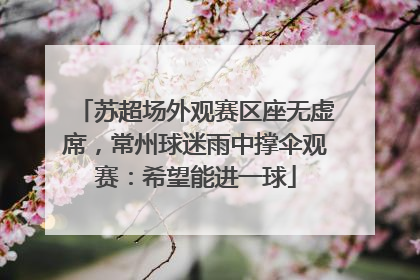 苏超场外观赛区座无虚席，常州球迷雨中撑伞观赛：希望能进一球