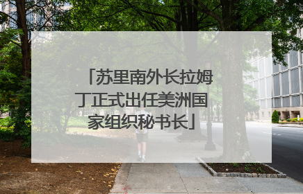 苏里南外长拉姆丁正式出任美洲国家组织秘书长