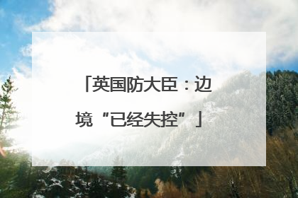 英国防大臣：边境“已经失控”