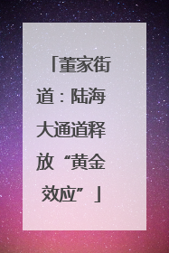 董家街道：陆海大通道释放“黄金效应”