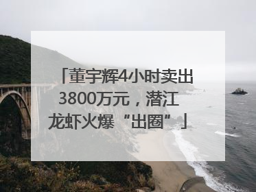 董宇辉4小时卖出3800万元，潜江龙虾火爆“出圈”