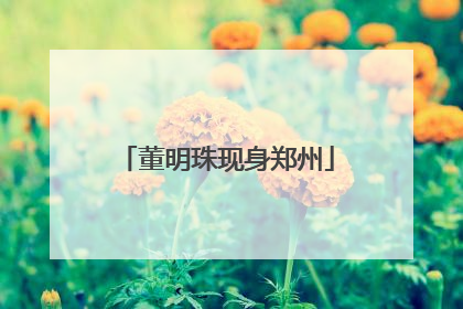 董明珠现身郑州