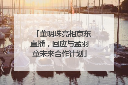 董明珠亮相京东直播，回应与孟羽童未来合作计划