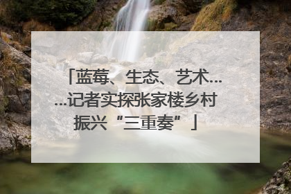 蓝莓、生态、艺术……记者实探张家楼乡村振兴“三重奏”
