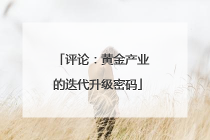 评论：黄金产业的迭代升级密码