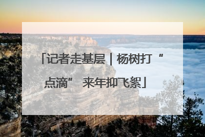 记者走基层｜杨树打“点滴” 来年抑飞絮