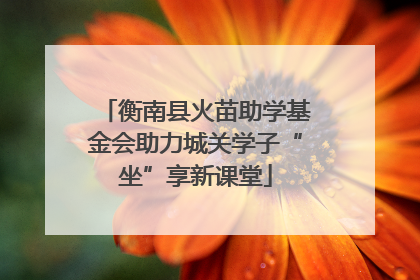 衡南县火苗助学基金会助力城关学子“坐”享新课堂