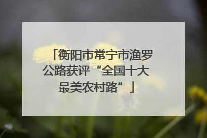 衡阳市常宁市渔罗公路获评“全国十大最美农村路”