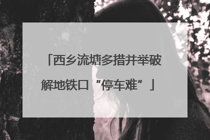 西乡流塘多措并举破解地铁口“停车难”
