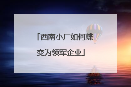 西南小厂如何蝶变为领军企业