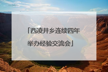 西凌井乡连续四年举办经验交流会