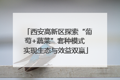 西安高新区探索“葡萄+蔬菜”套种模式 实现生态与效益双赢
