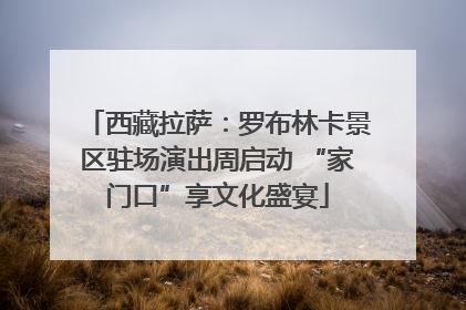 西藏拉萨：罗布林卡景区驻场演出周启动 “家门口”享文化盛宴