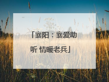 襄阳：襄爱助听 情暖老兵