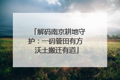 解码南京耕地守护：一码管田有方 沃土搬迁有道