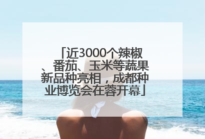 近3000个辣椒、番茄、玉米等蔬果新品种亮相，成都种业博览会在蓉开幕