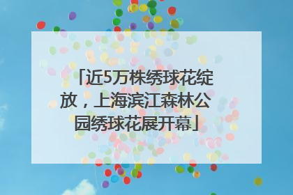 近5万株绣球花绽放，上海滨江森林公园绣球花展开幕
