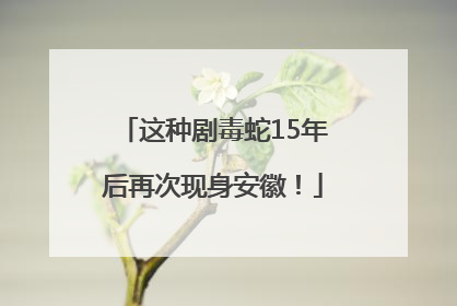 这种剧毒蛇15年后再次现身安徽！
