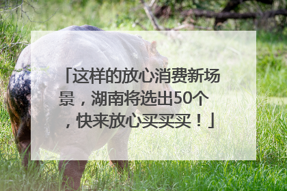 这样的放心消费新场景，湖南将选出50个，快来放心买买买！