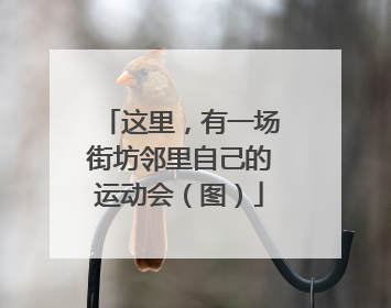 这里，有一场街坊邻里自己的运动会（图）