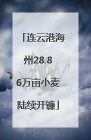 连云港海州28.86万亩小麦陆续开镰