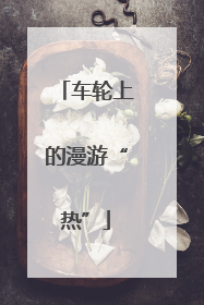 车轮上的漫游“热”