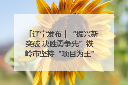辽宁发布｜“振兴新突破 决胜勇争先”铁岭市坚持“项目为王”推进经济高质量发展
