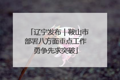 辽宁发布｜鞍山市部署八方面重点工作勇争先求突破