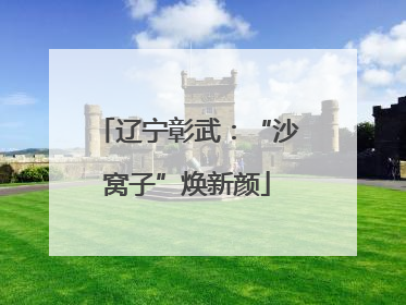 辽宁彰武：“沙窝子”焕新颜
