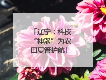 辽宁：科技“神器”为农田夏管护航
