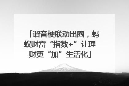 谐音梗联动出圈，蚂蚁财富“指数+”让理财更“加”生活化