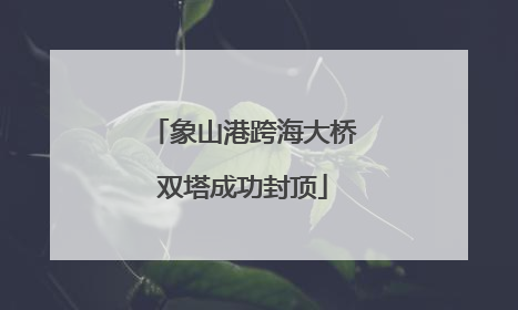 象山港跨海大桥双塔成功封顶