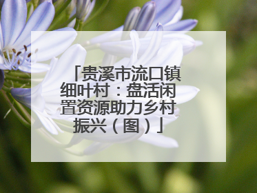 贵溪市流口镇细叶村：盘活闲置资源助力乡村振兴（图）