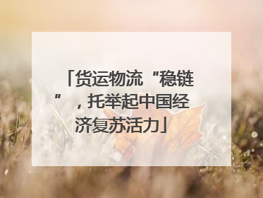货运物流“稳链”，托举起中国经济复苏活力